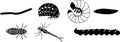 Set of black silhouettes of different larvae of insects